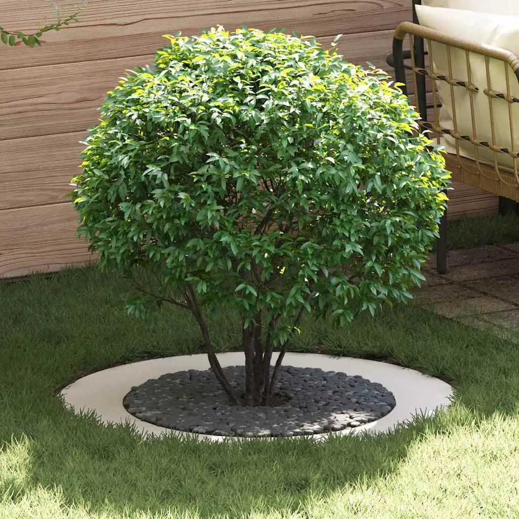 Entourage d’Arbre Plat en Acier pour Jardin Protection Racines et Parterre Ø60 cm Blanc – ComfortXL Outdoor Living
