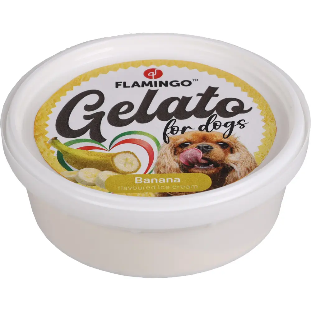 Flamingo – Snack Gelato 1crème glacée à l’ananas ou à la banane ou à la framboise parfum aléatoire 40 g pour chien