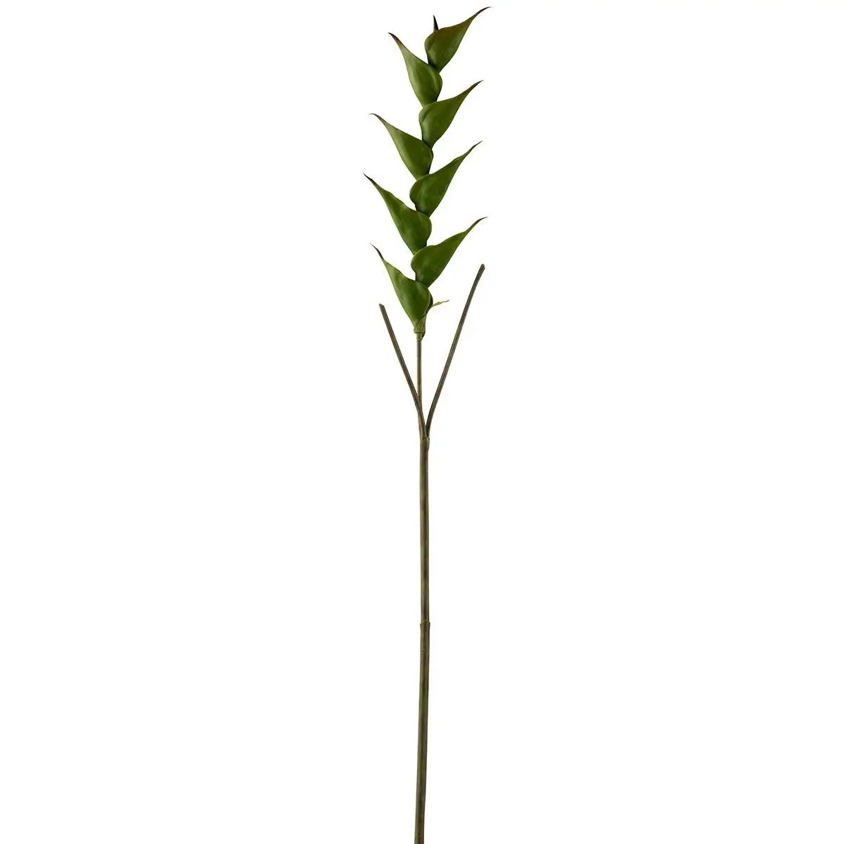 Fleur Artificielle «Heliconia» 141cm Vert