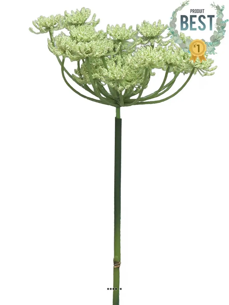 Fleur de carotte sauvage artificielle en tige, H72cm Crème vert – BEST – couleur: Crème vert