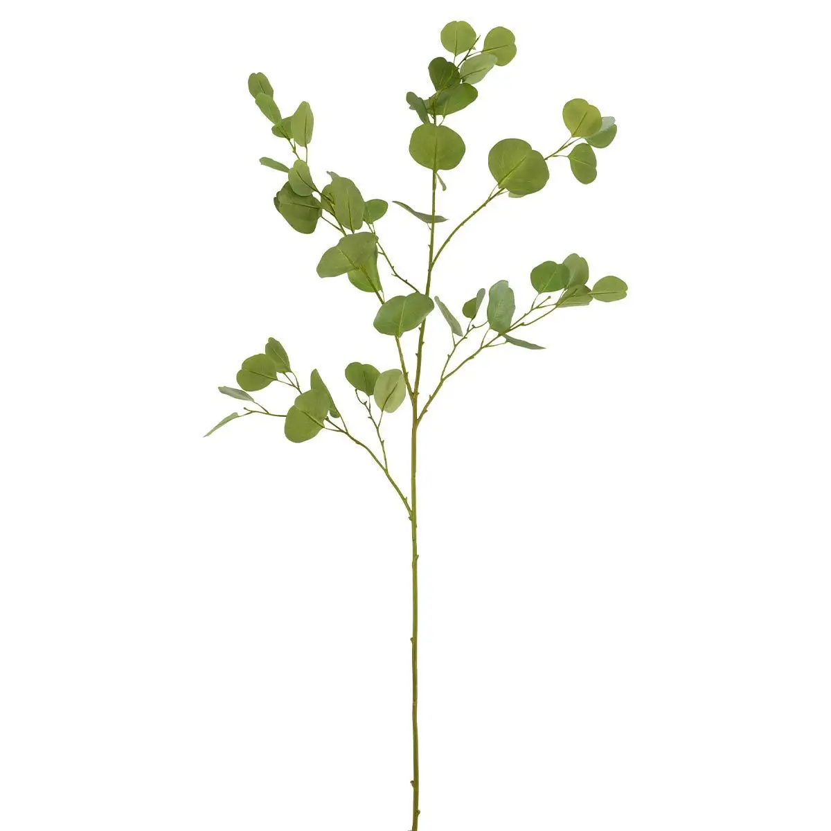 Fleur Artificielle «Branche d’Eucalyptus» 138cm Vert