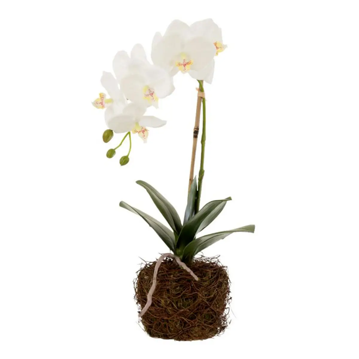 Fleur Artificielle Déco «Orchidée en Terre» 40cm Blanc