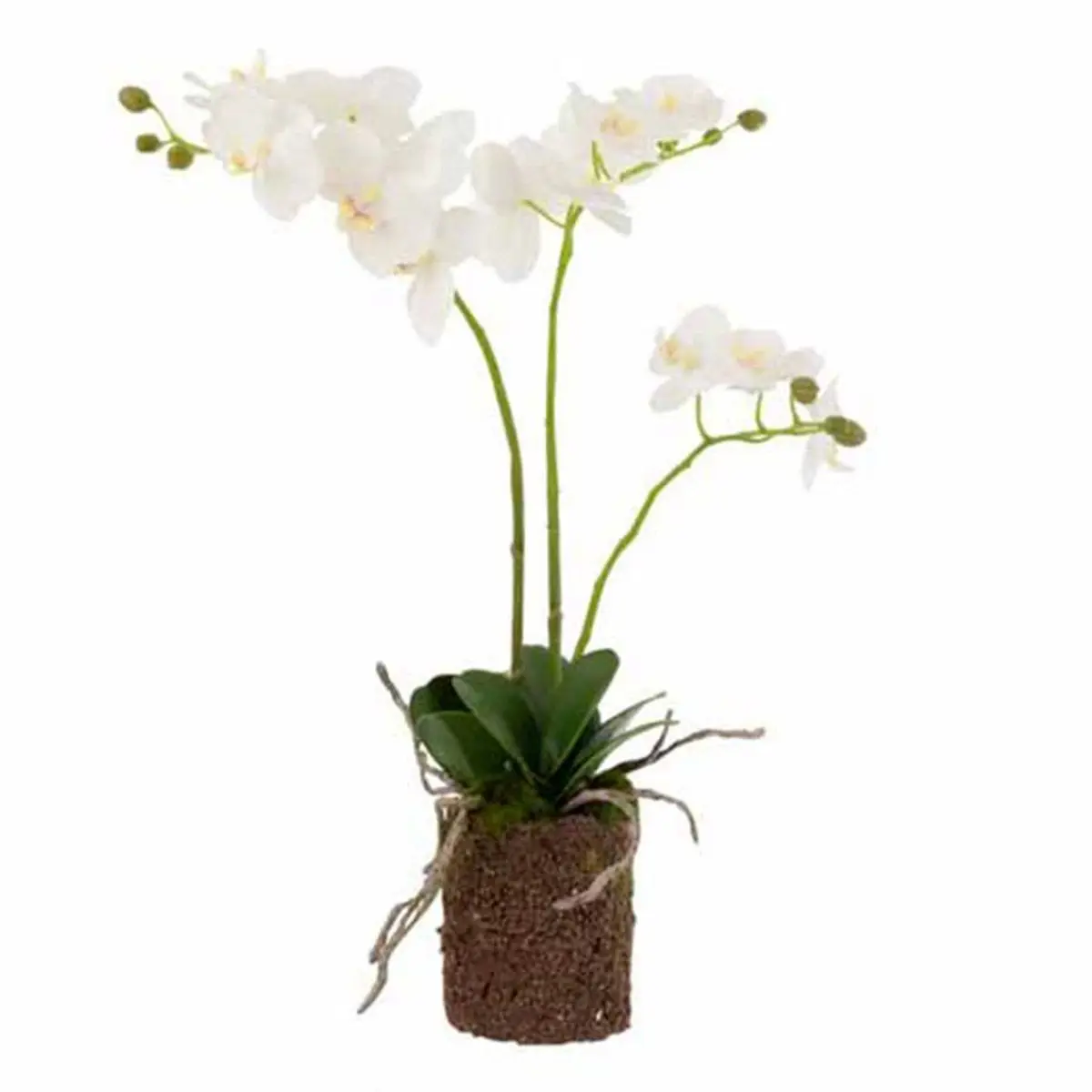Fleur Artificielle Déco «Orchidée en Terre» 54cm Blanc