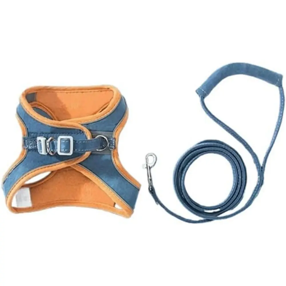 Ensemble harnais + laisse + collier pour chat – Réglable et respirant – Sécurité en extérieur -ORANGE ET BLEU- Living123