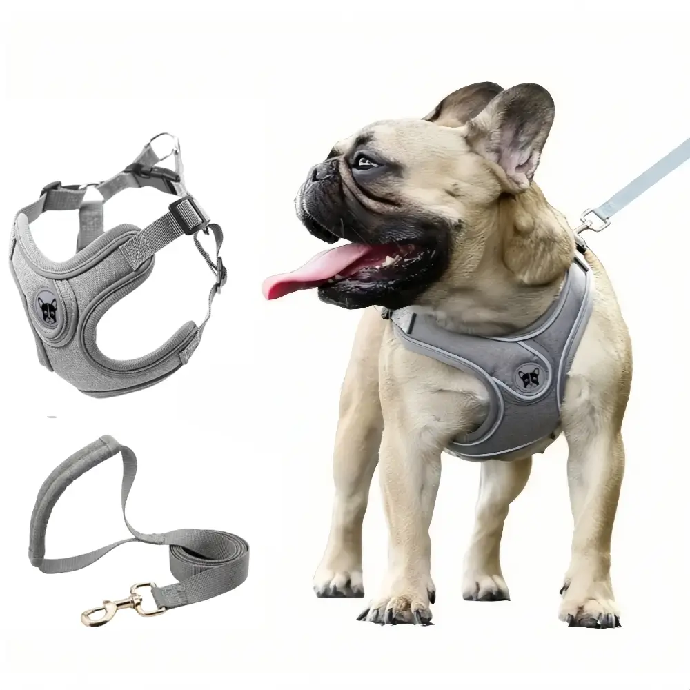 Ensemble harnais et laisse pour chien l – IntiMeg
