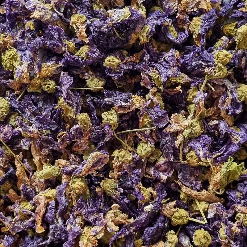 Fleurs de mauve 100g – Friandise pour rongeurs – Nacture
