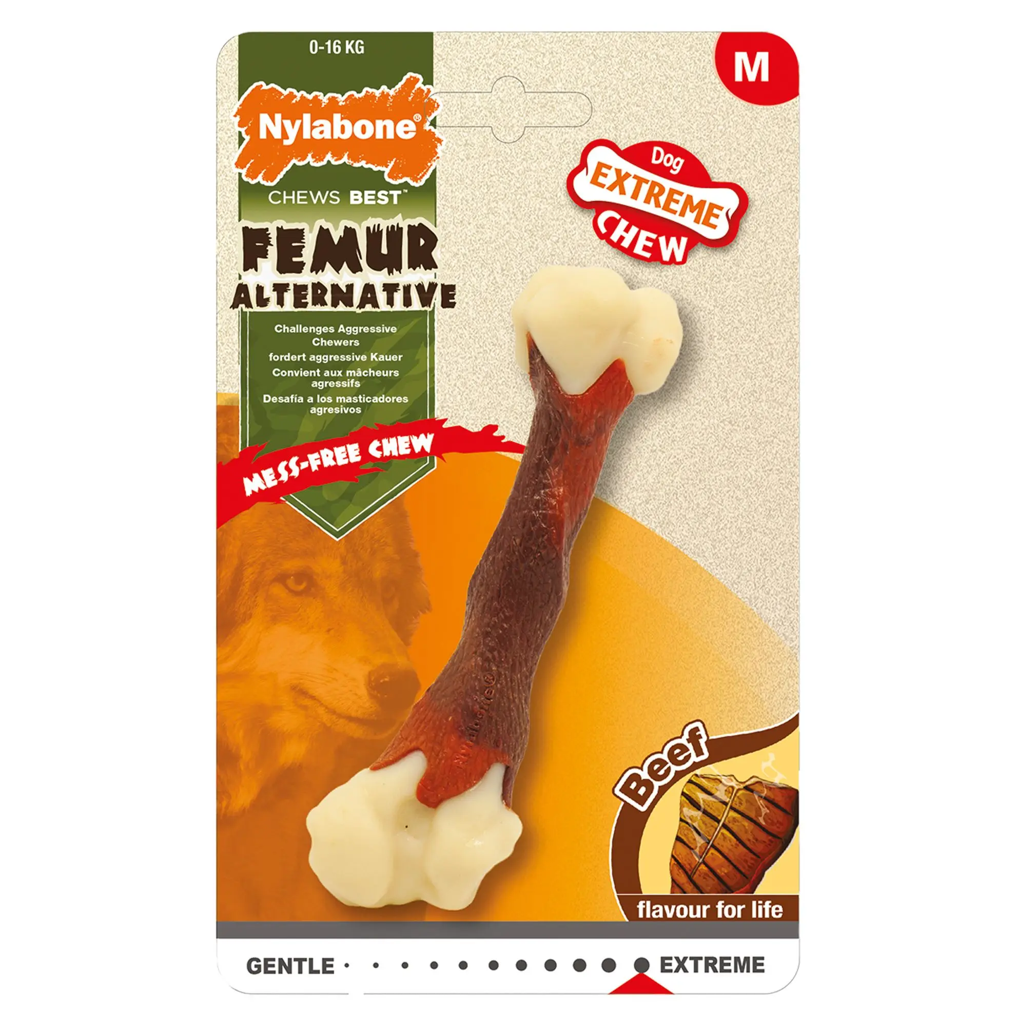 Extreme Chew Femur Nylabone NYLABONE