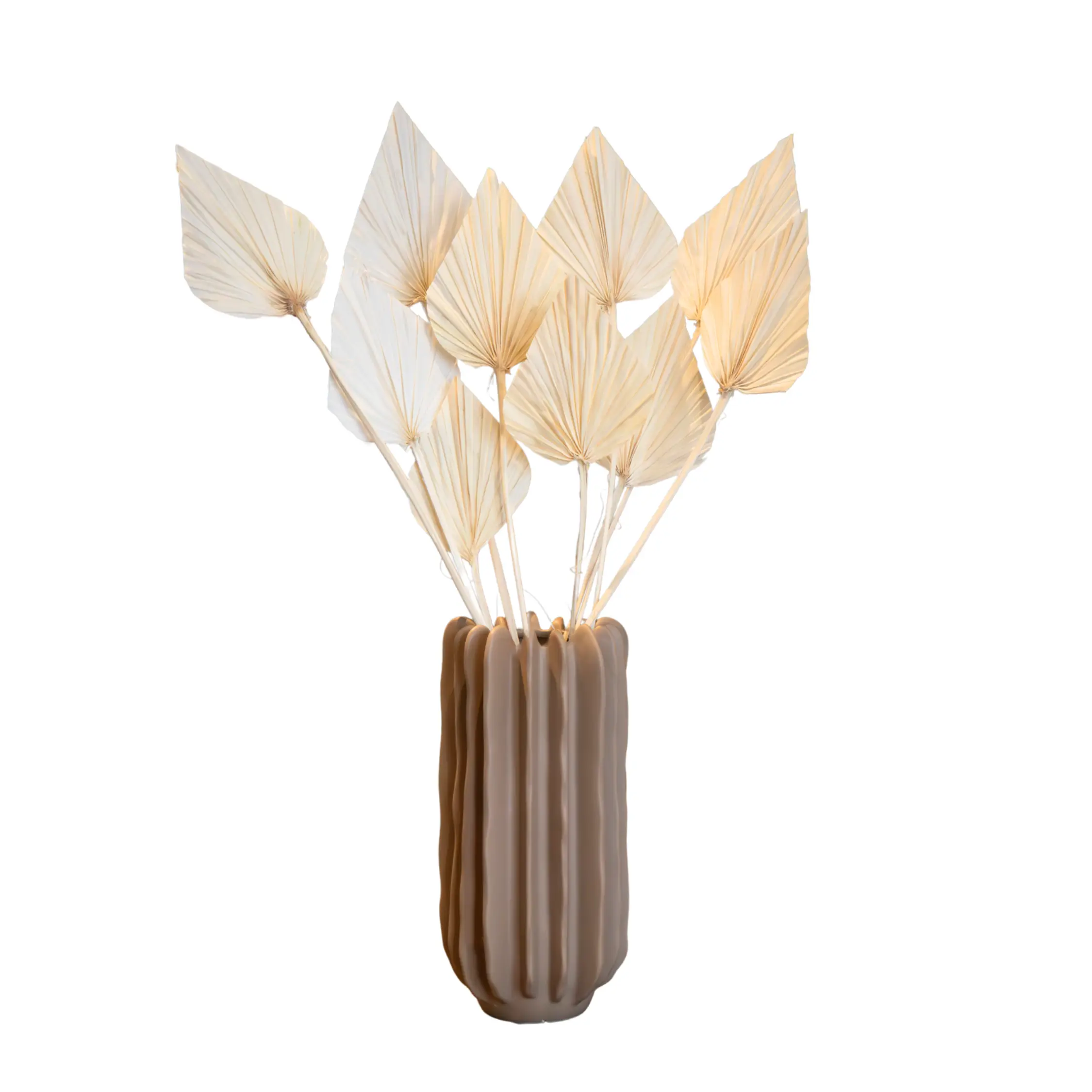 Fleurs séchées – Set de 10 – Bouquet ‘Palmspear Bleached White’