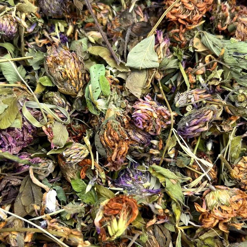 Fleurs de trèfle rouge 100g – Friandise pour rongeurs – Nacture