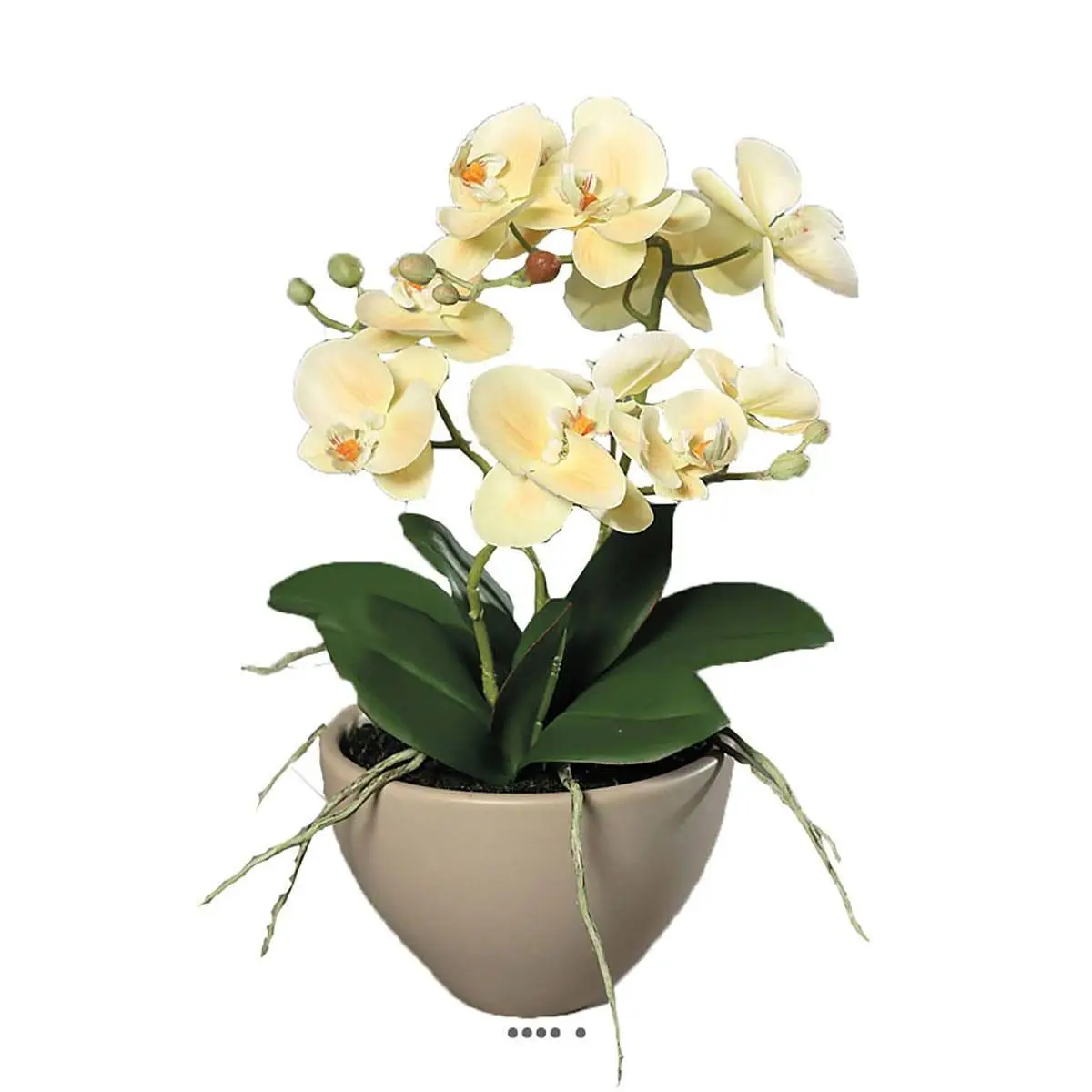 Fausse orchidée en pot céramique H 35 cm adorable Crème vert – couleur: Crème vert