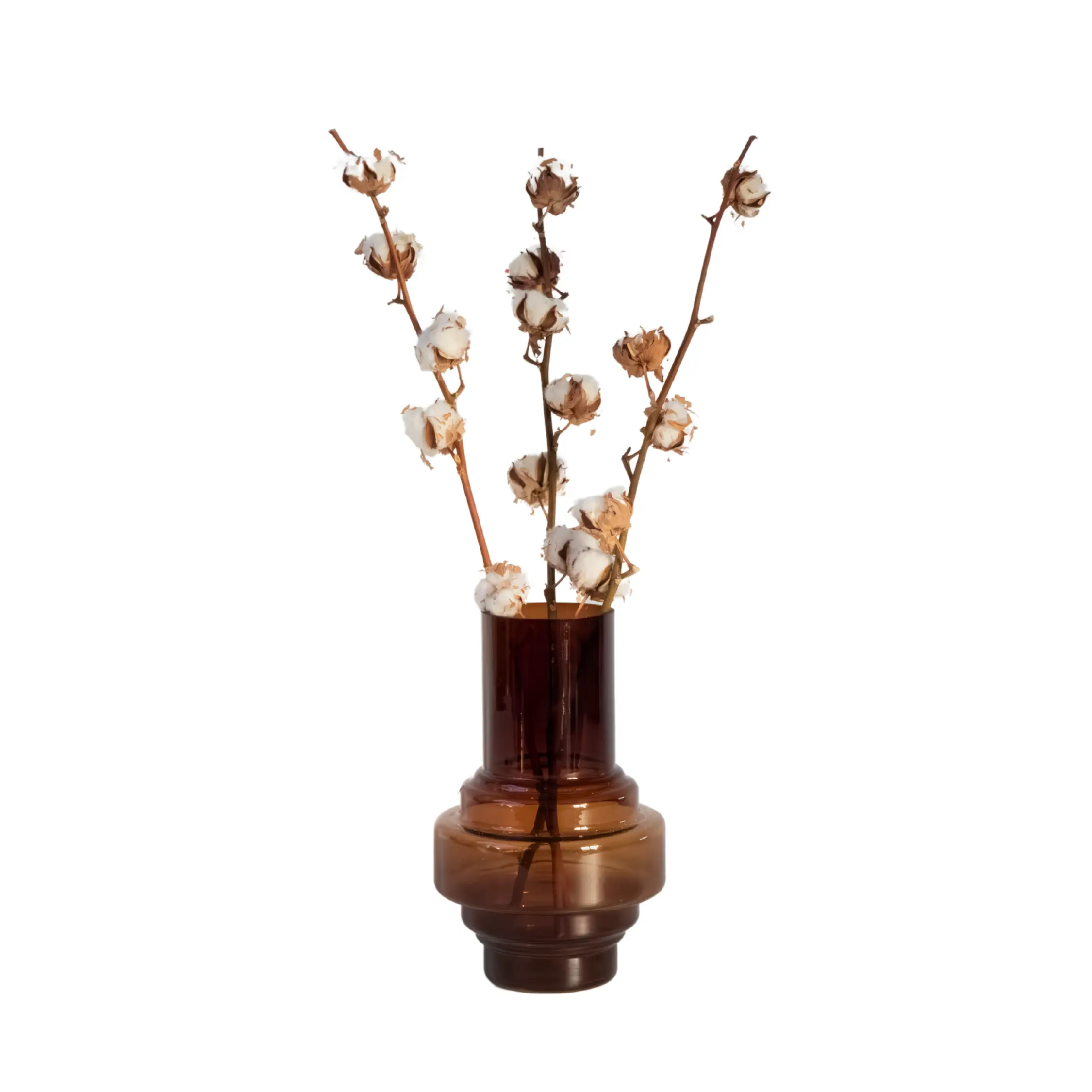 Fleurs séchées – Set de 3 – Bouquet ‘Cotton branch’