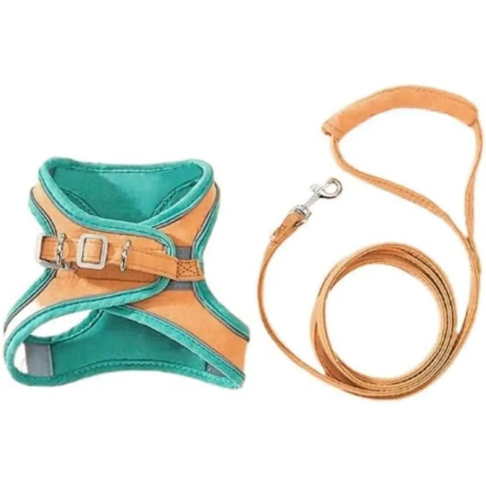 Ensemble harnais + laisse + collier pour chat – Réglable et respirant – Sécurité en extérieur -ORANGE ET VERT- Living123