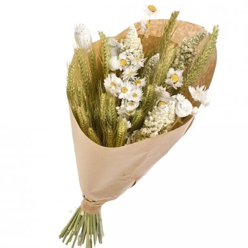 Fleurs Sechees Blanches & Nature Déco 50 cm – Naturalys