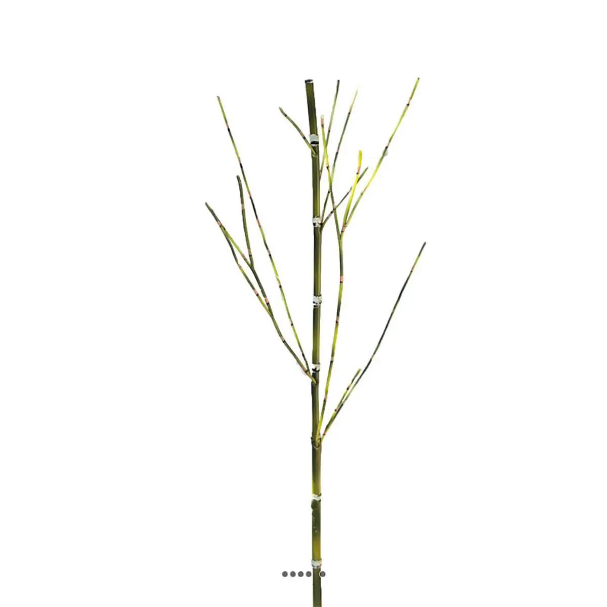 Fausse canne de bambou H 105 cm
