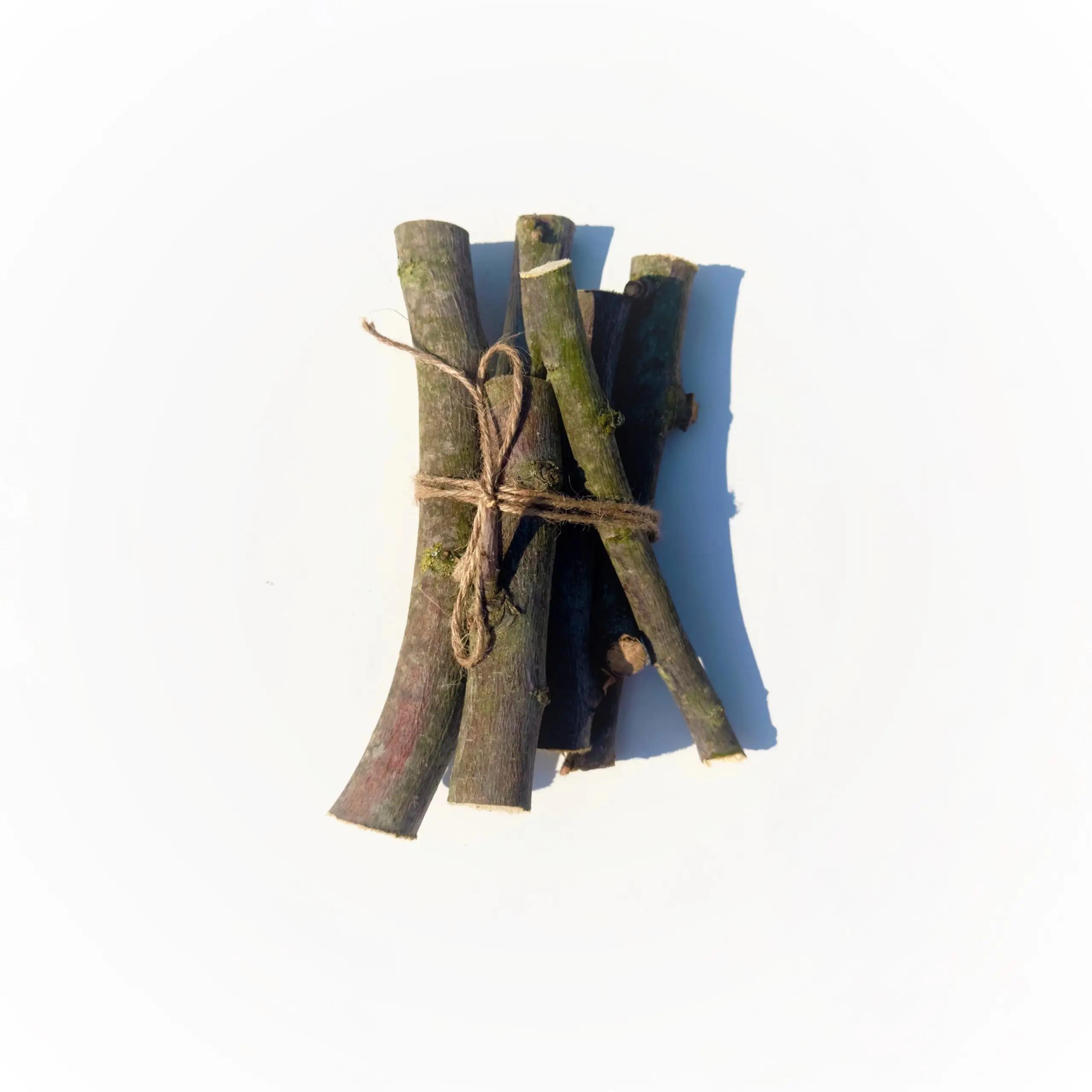 Fagot de bois de noisetier de la Marne pour lapins et rongeurs – 100% naturel – l’Eden des pattounes