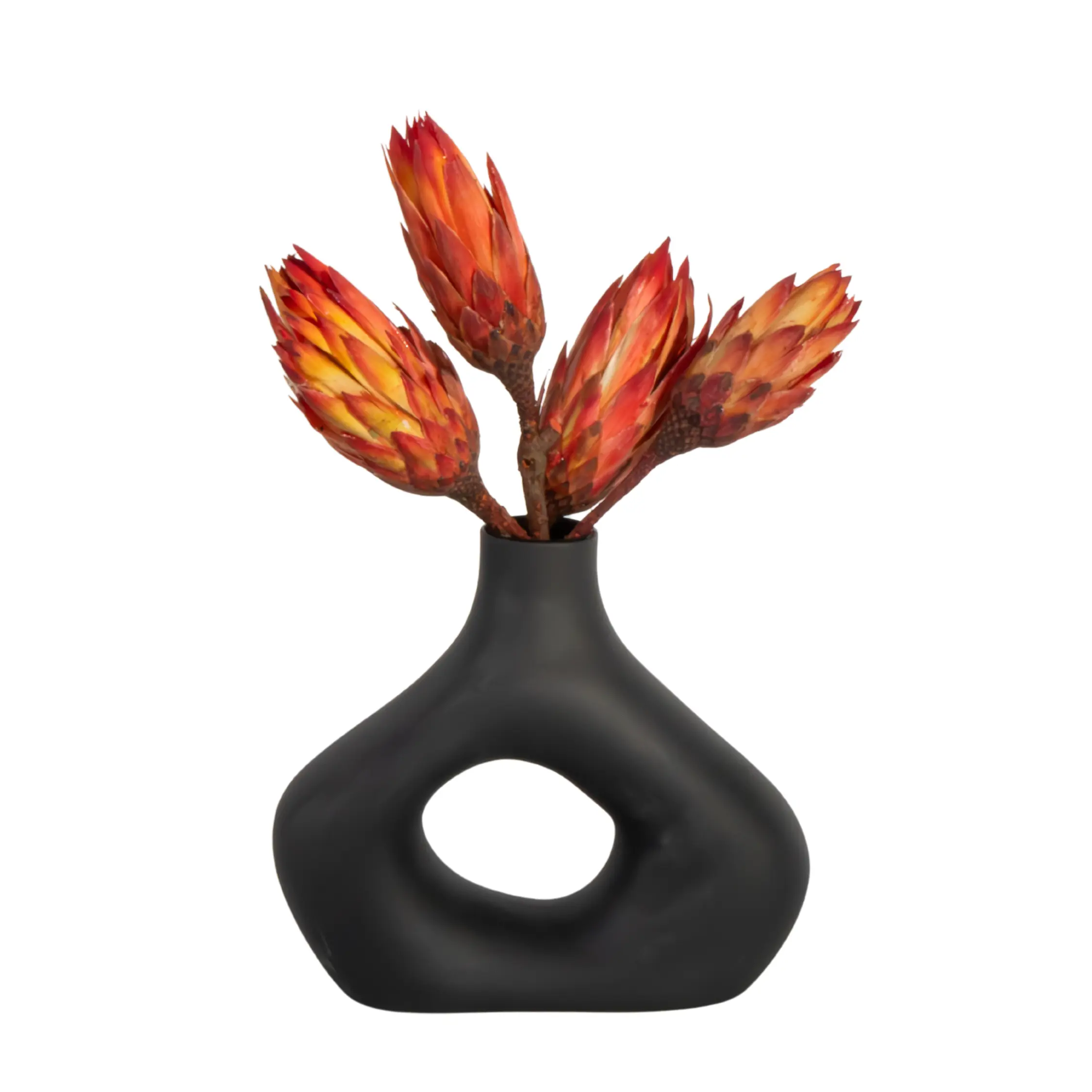 Fleurs séchées – Set de 5 – Bouquet ‘Protea Pendula Red’