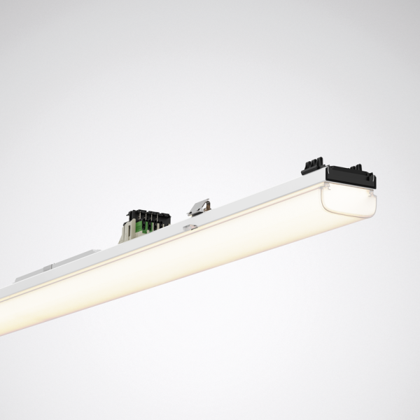 E-Line Pro78IP50 DL 100-830ETDD L150 01