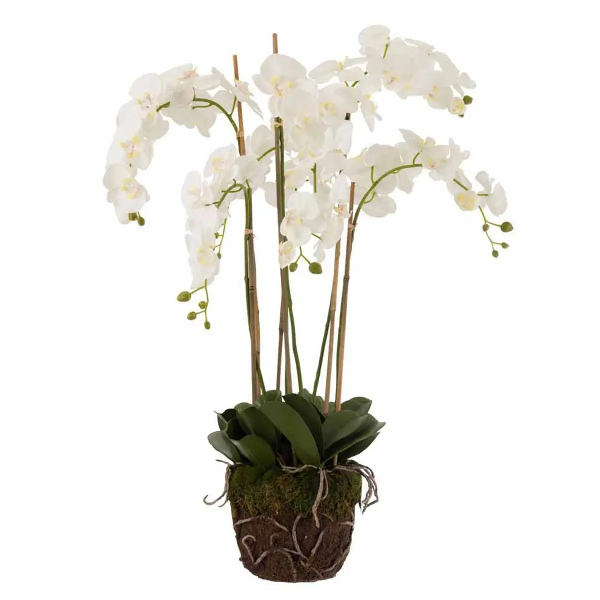 Fleur Artificielle Déco «Orchidée en Terre» 98cm Blanc