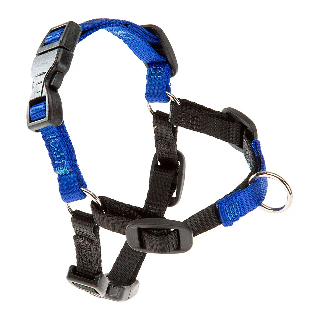 Ferplast COACH Harnais Petit Chien, harnais de dressage pour chien qui empêche de tirer pendant les promenades, contrôle maximal du chien, poitrine