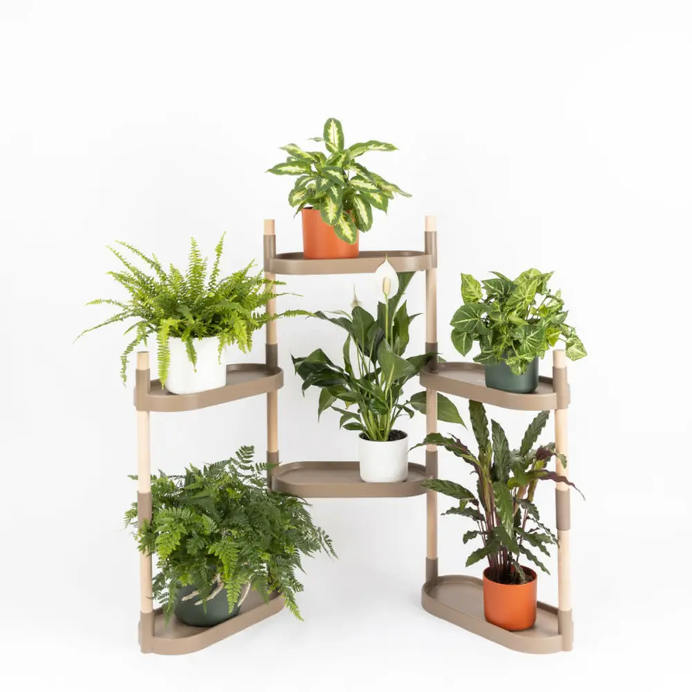 Étagère CitySens pour plantes couleur écorce de pin à 6 plateaux