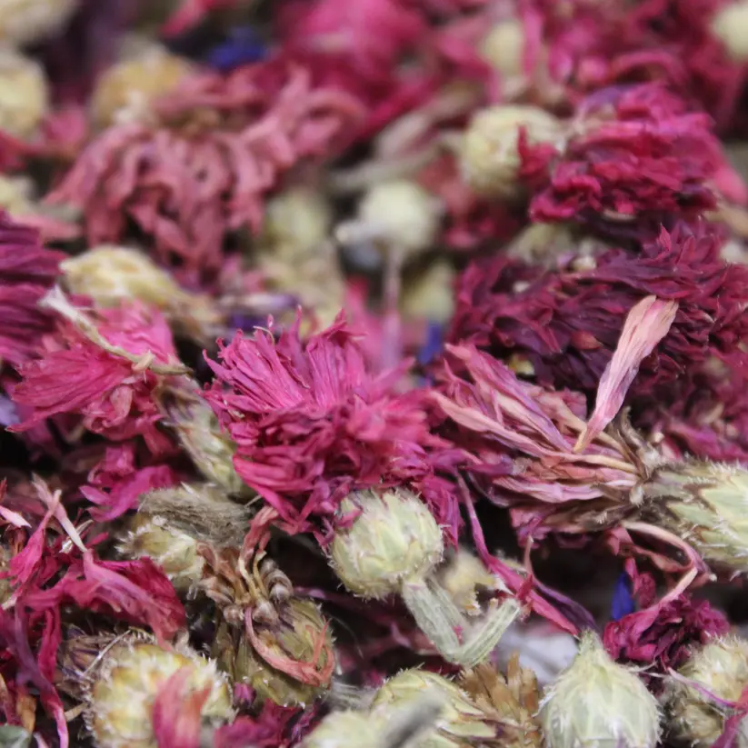 Fleurs de bleuet rouge séchées 50g – 100% naturelles pour lapin – O Les Pattes