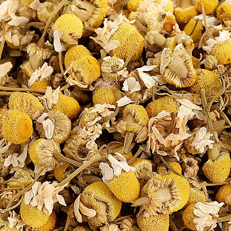 Fleurs de camomille 100g – Friandise pour rongeurs – Nacture