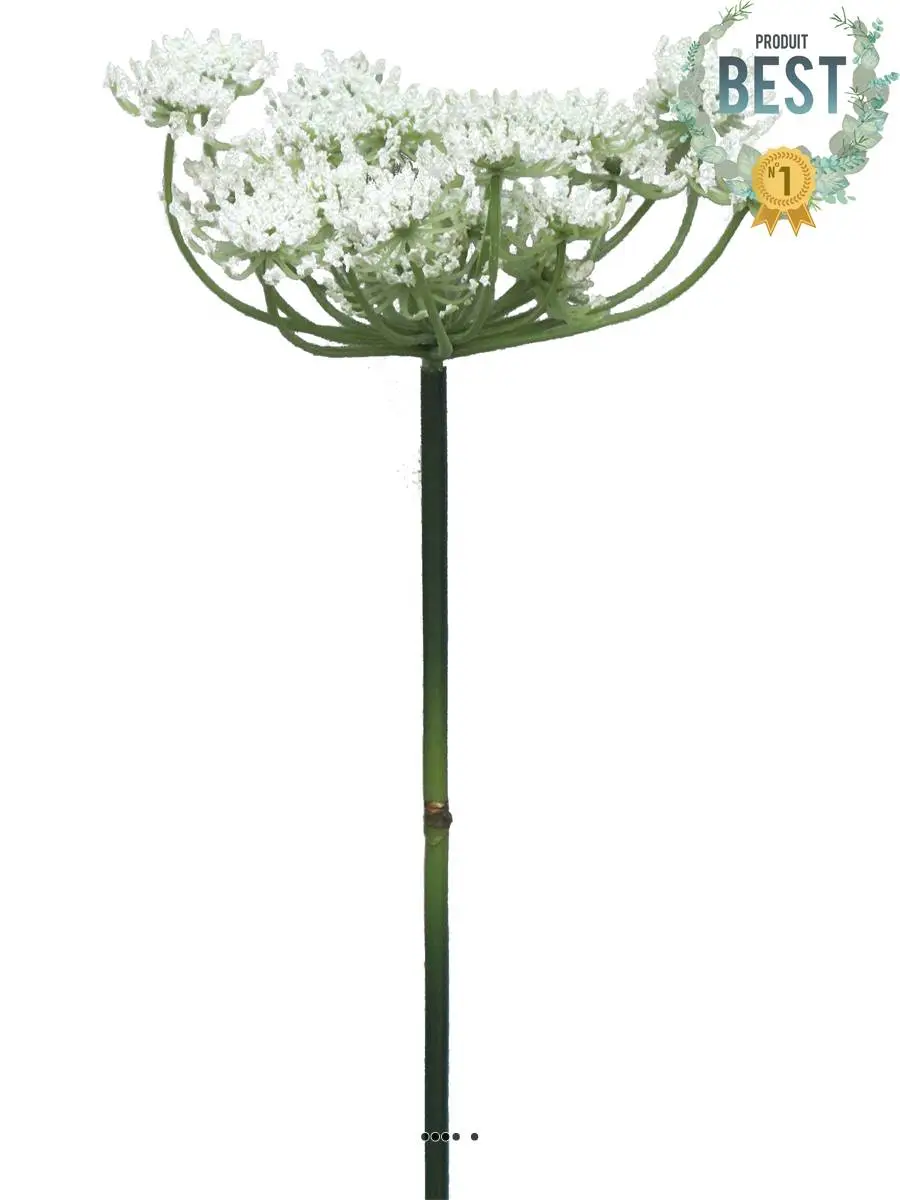Fleur de carotte sauvage artificielle en tige, H 72 cm Crème – BEST – couleur: Crème
