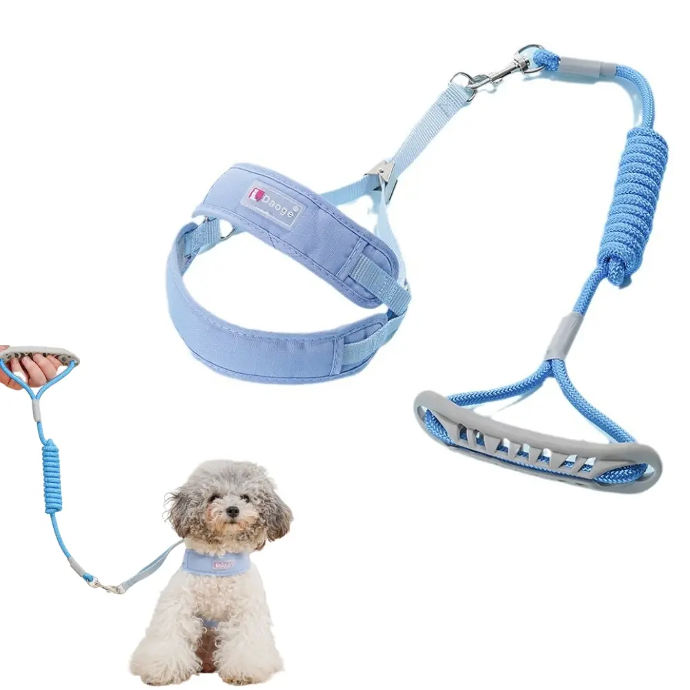 Ensemble harnais et laisse pour chat xl – IntiMeg