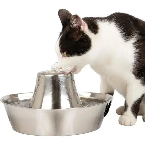 Fontaine pour Animaux – PETSAFE – SEASIDE – Inoxydable – 1,8 L – Silencieuse – Eau filtrée