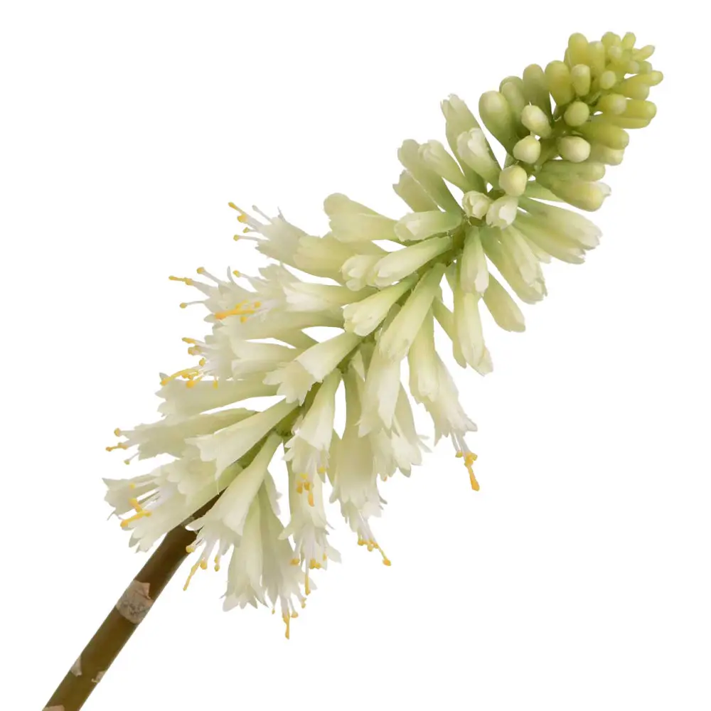 Fleur artificielle Kniphofia jade 71 cm blanc
