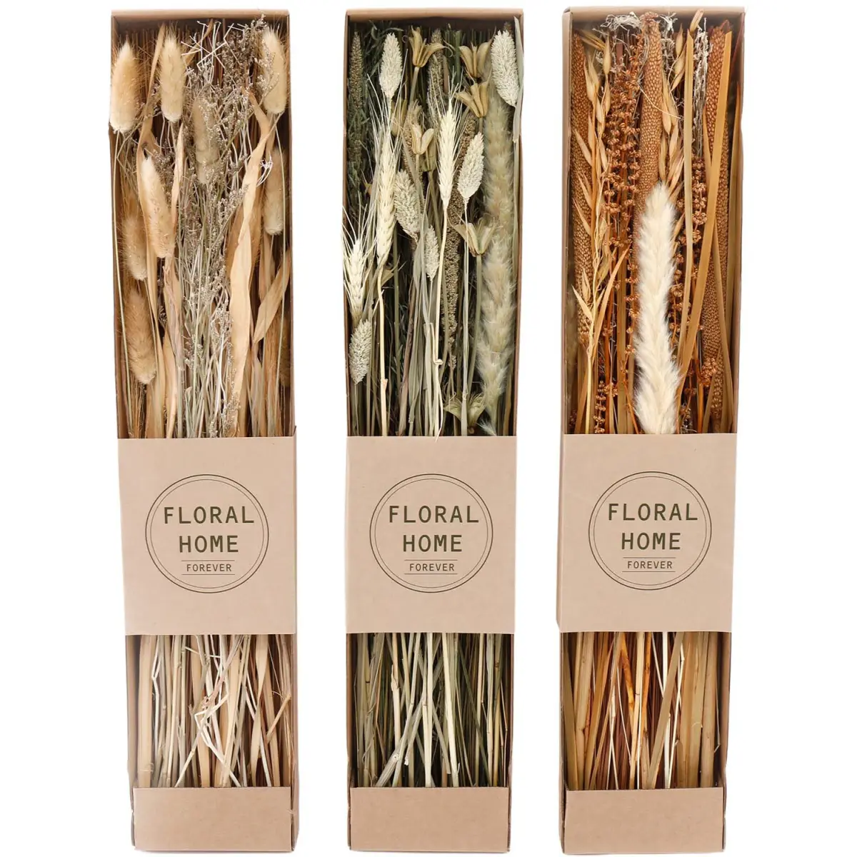 Fleurs séchées naturelles 60 cm Forever (Lot de 3)