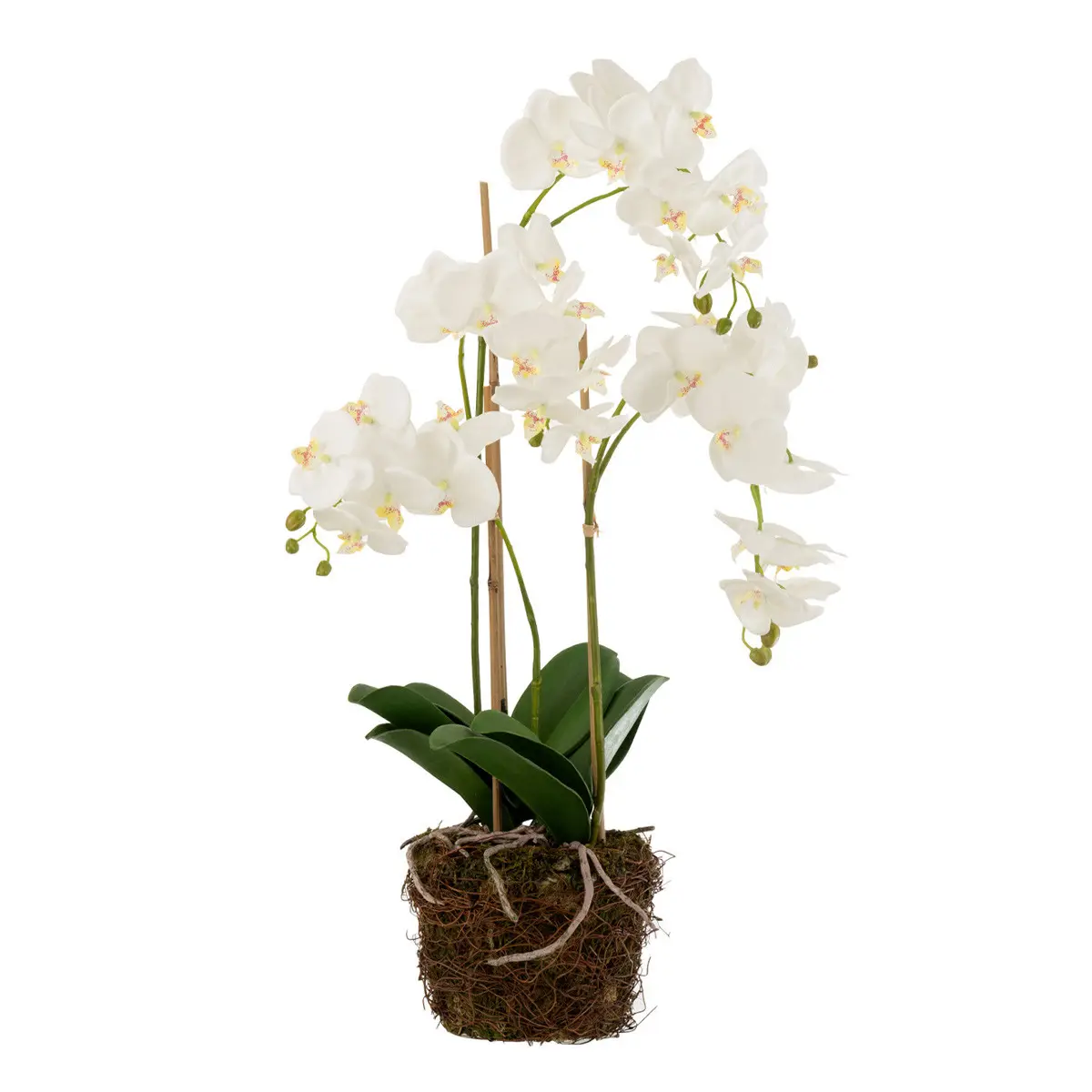 Fleur Artificielle Déco «Orchidée en Terre» 72cm Blanc